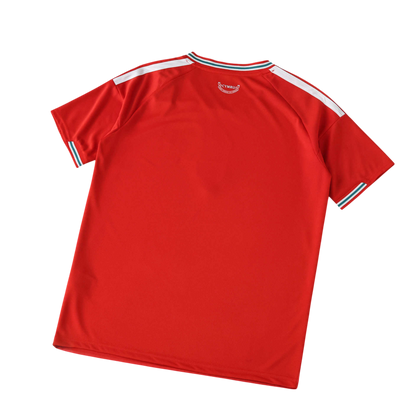 Wales Home Jersey (2026)