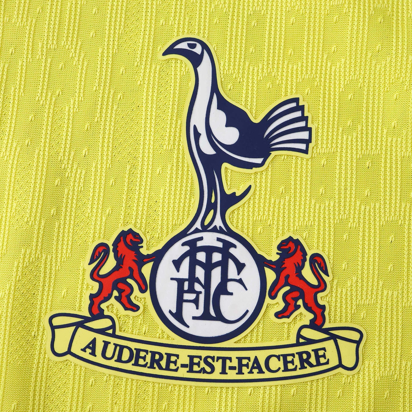 Tottenham Third Jersey (25/26)